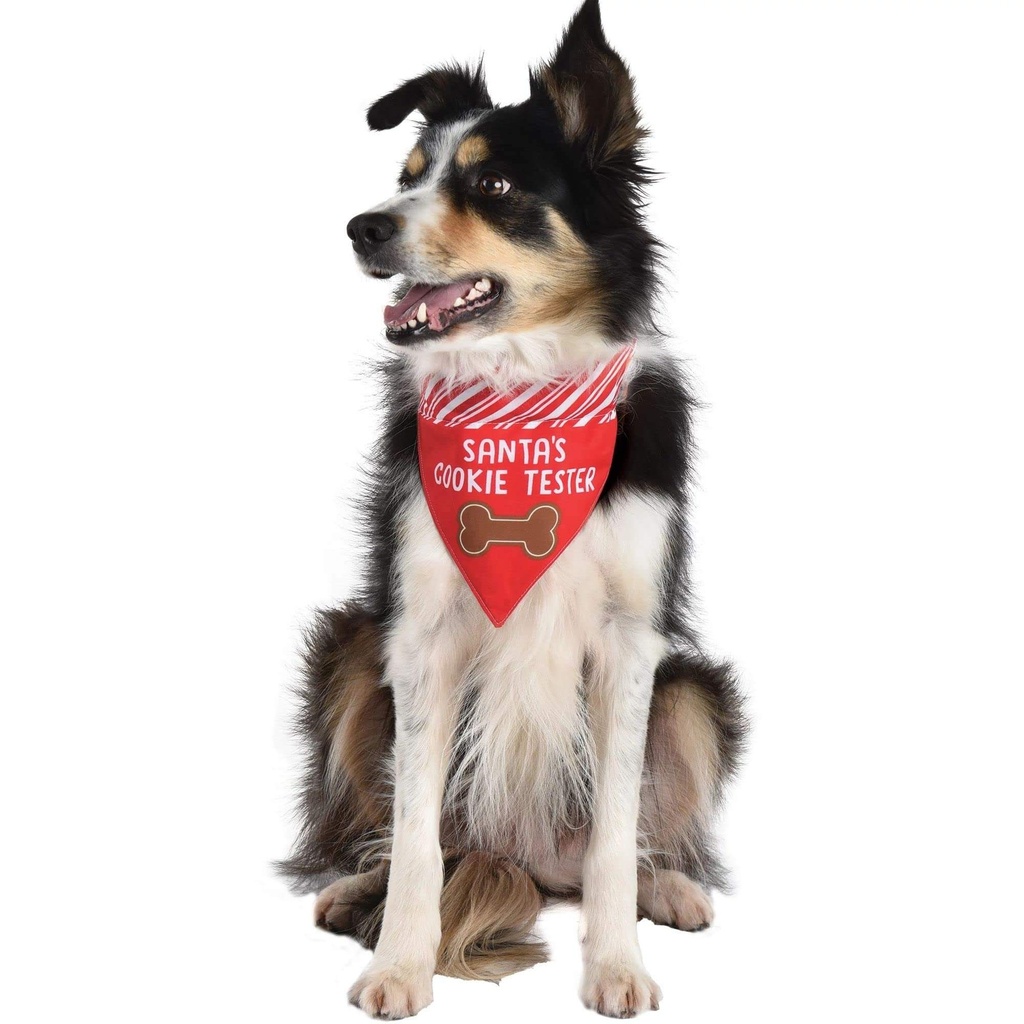 Bandana Perro Cookie Tester