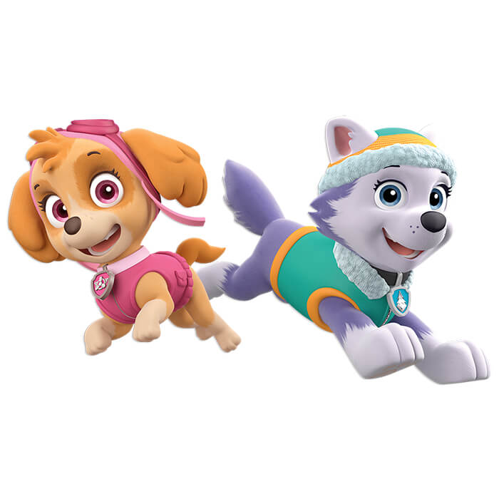 Adorno Movil  Paw Patrol Niña C/1
