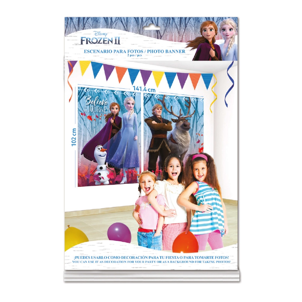 Photo Banner Frozen 2 C/1