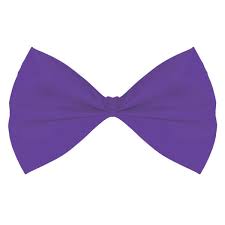 Moño Grande Morado C/1
