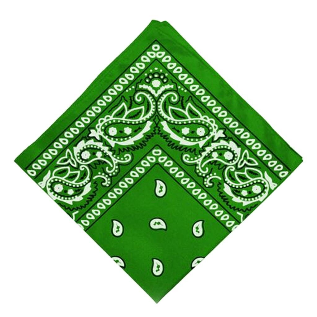 Paliacate Verde C/1