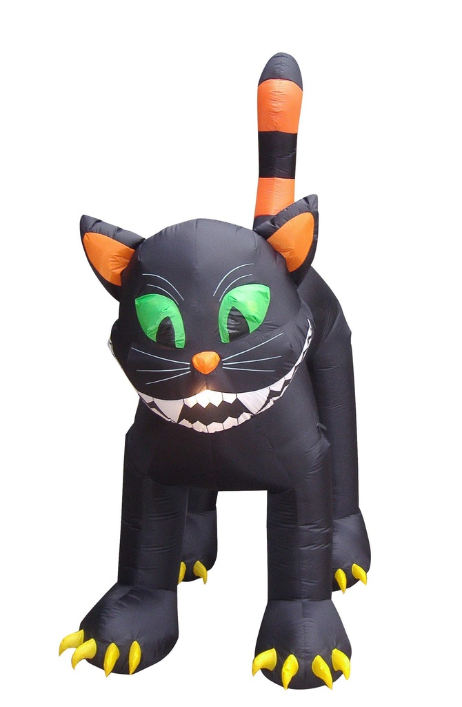 Gato Inflable C/1