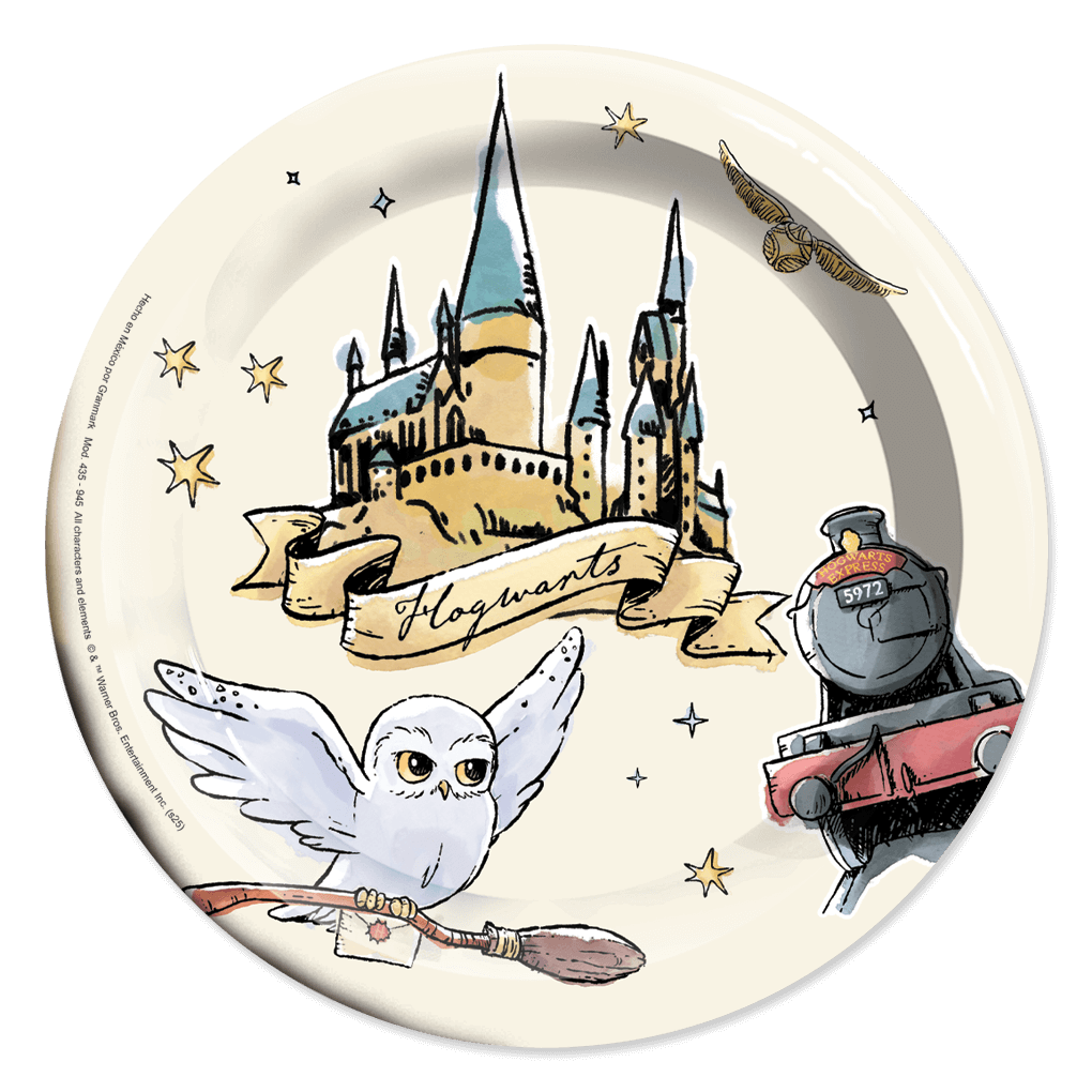 Plato 7" Harry Potter C/6