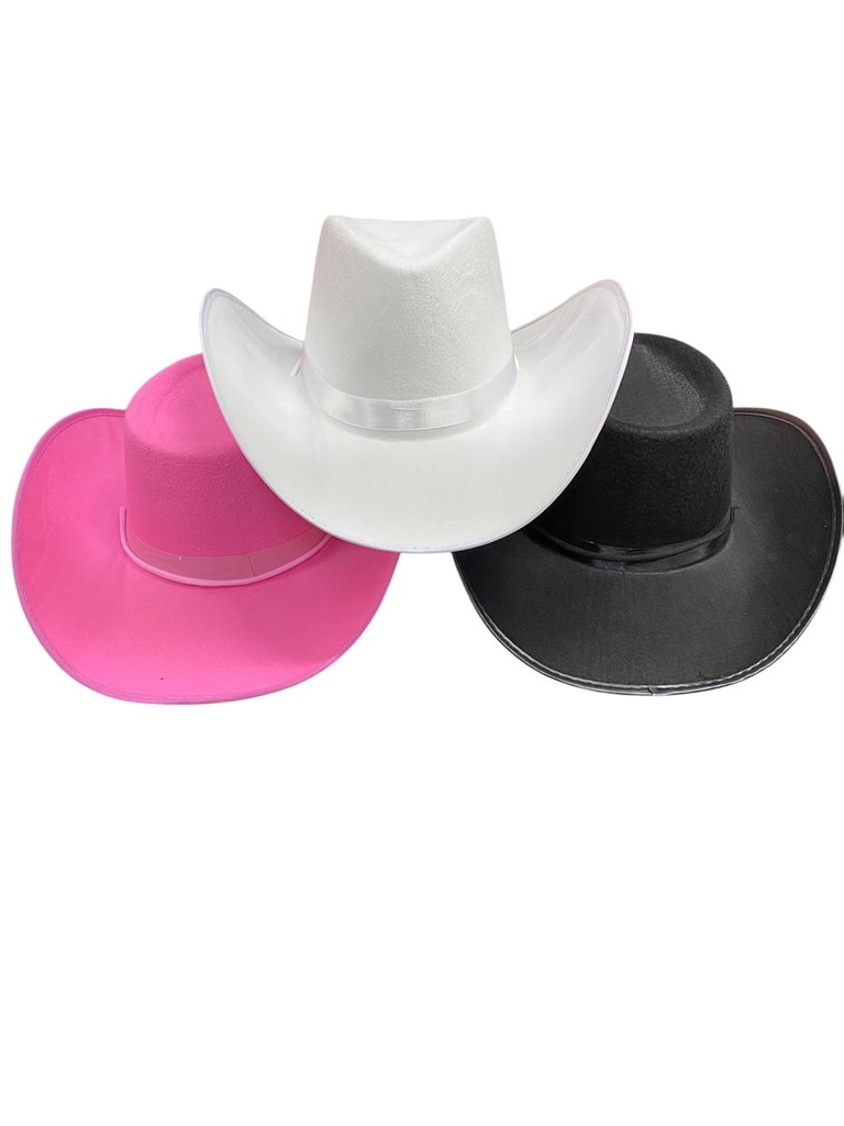 Sombrero Vaquero Con Correa C/1