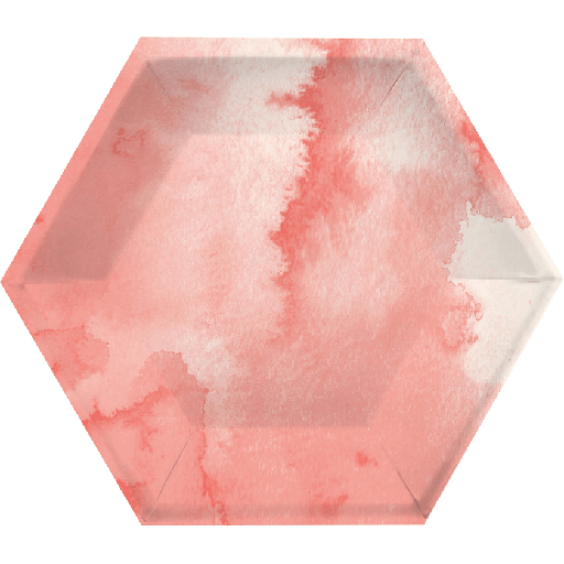 [20.354078 ] Plato 8" Hexagonal Pink Elise C/8