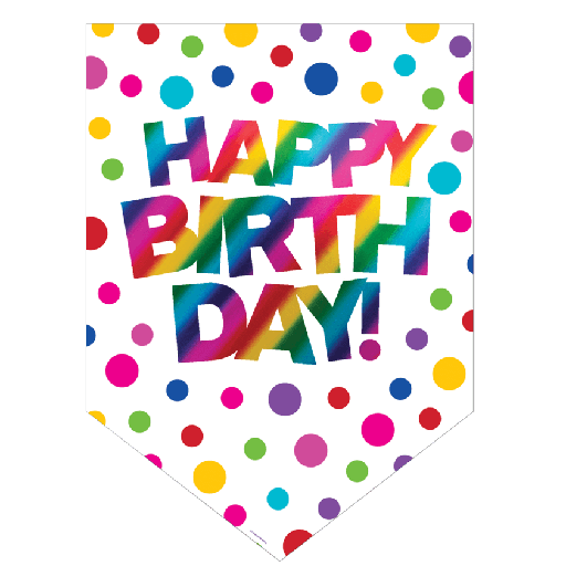 [20.331787 ] Door Sign Gigant Rainbow Foil Birthday C/1