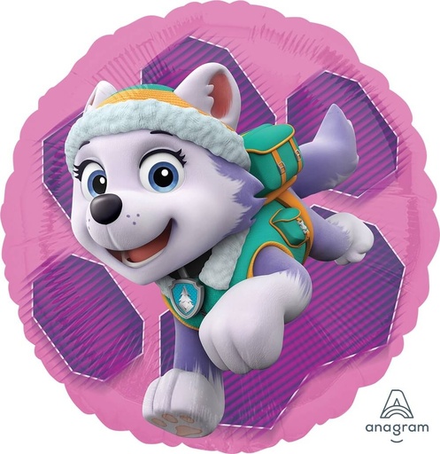 [191.34088] Globo 18" Paw Patrol Sky C/1
