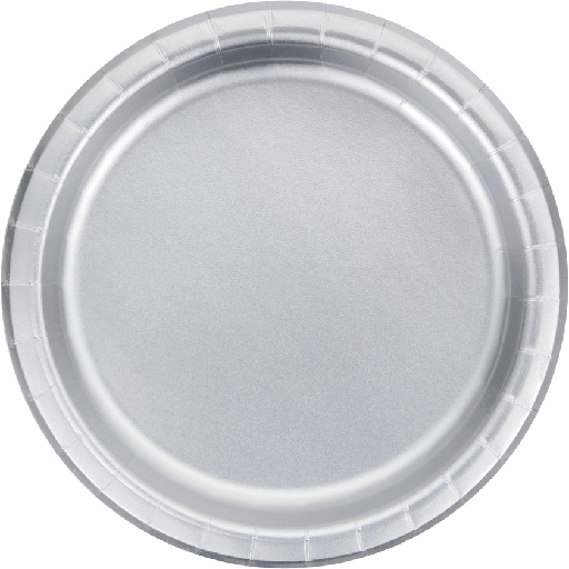 [20.343843] Plato 9" Silver C/8