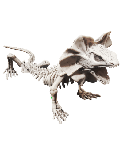 [181.30487] Lizard Skeleton C/1