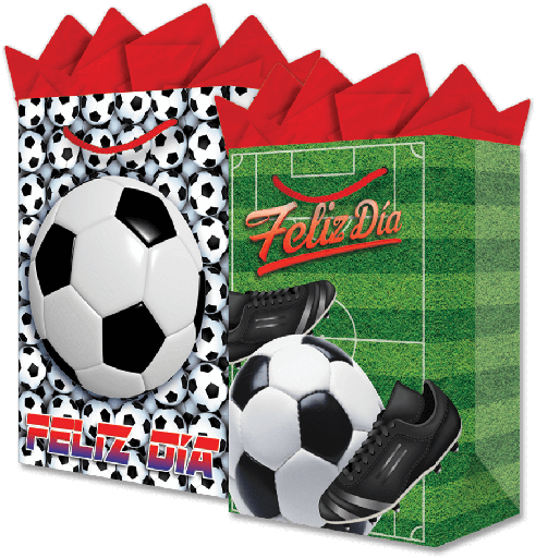 [16.846-5527/6] Bolsa Mediana Balones C/1