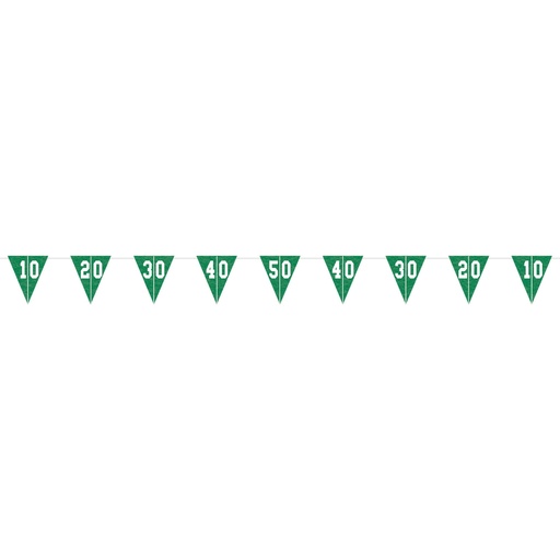 [41.122097] Pennant Banner Game Day C/1